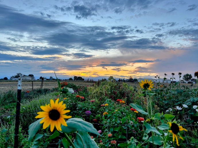 Sunshine Farm and Gardens, United States